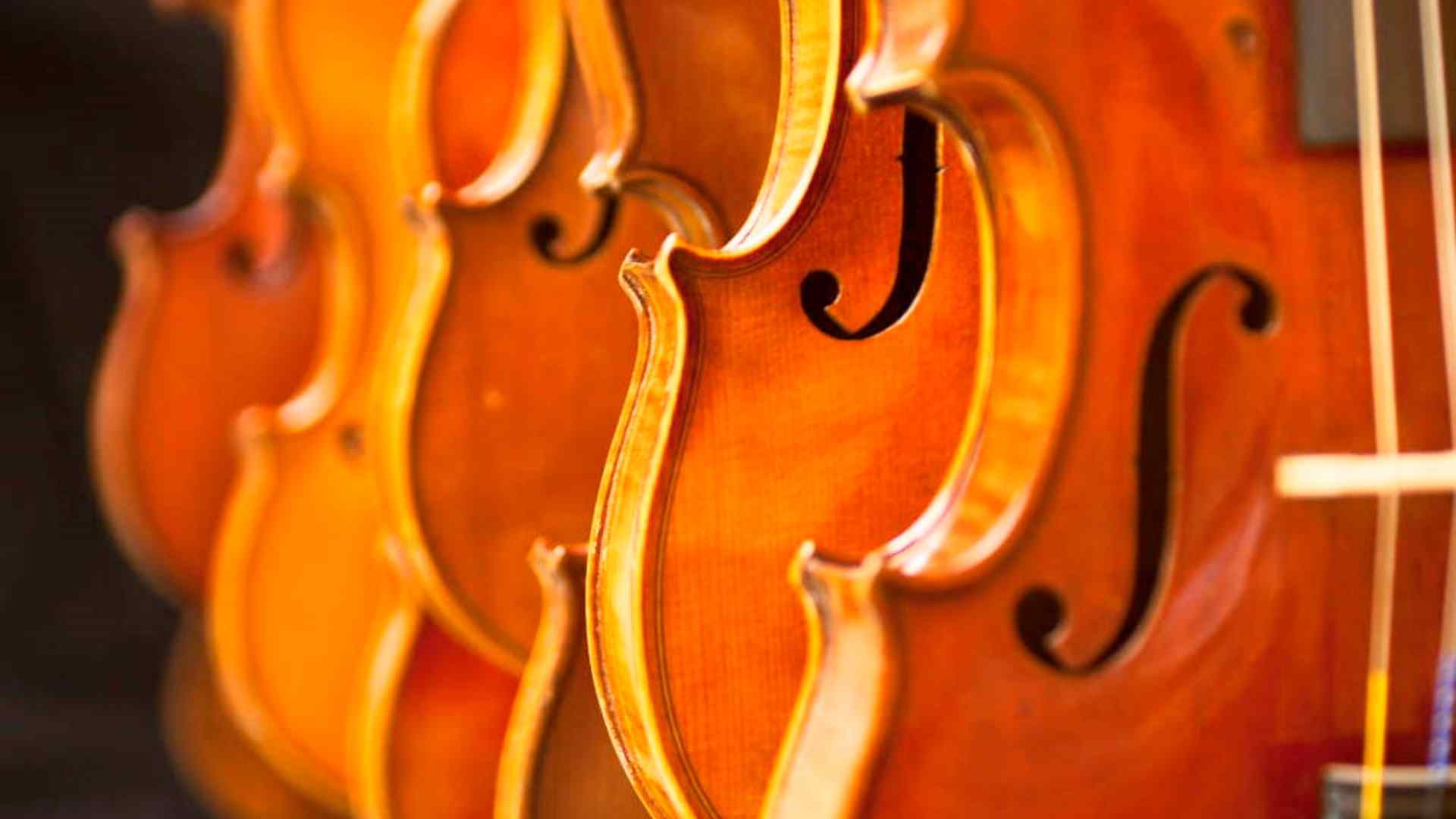 Qual o tamanho certo de violino para você aprender tocar