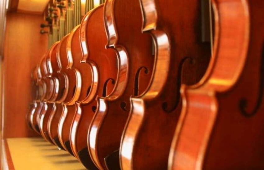 Escolher um bom violino para começar aprender a tocar - escolher um bom violino
